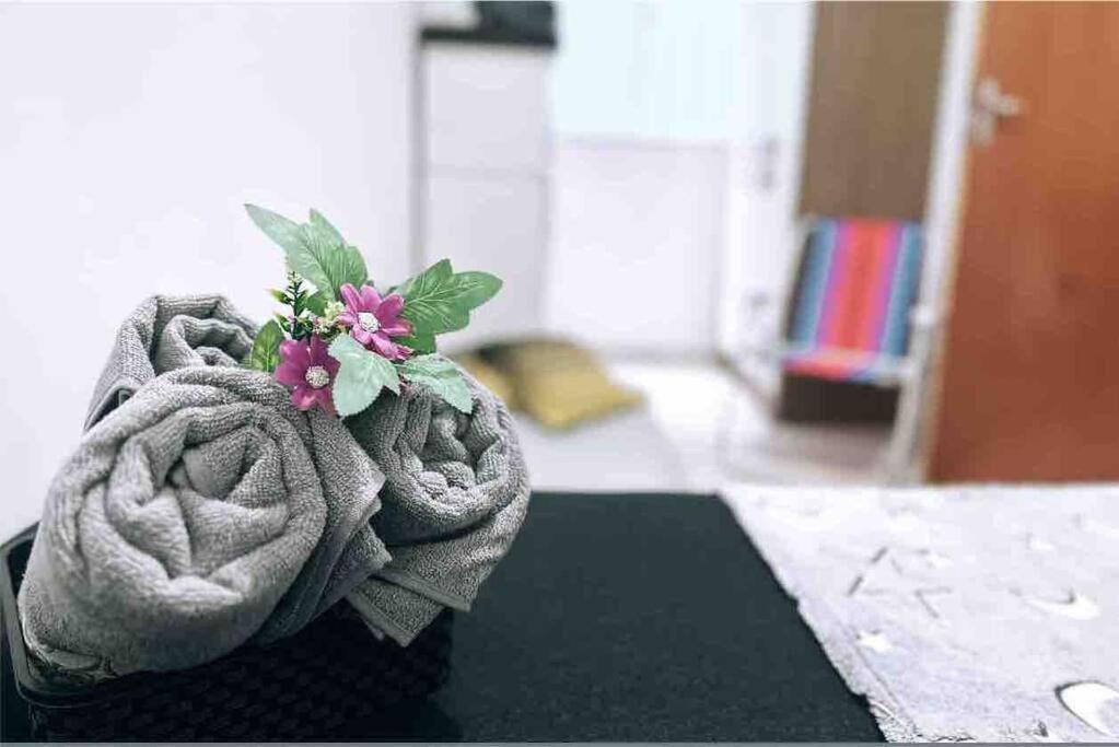 Apartamento Dos Ingleses Florianópolis